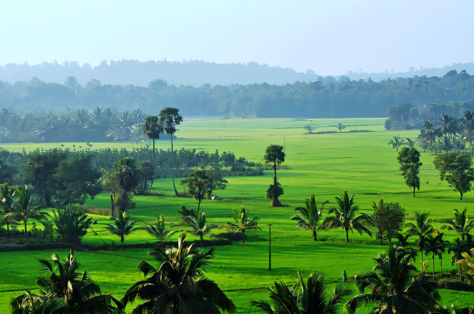 Palakkad tourism