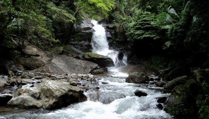 Meenvallam Waterfalls,a tourist spot where the waterfalls hidden inside the deep forests in Palakkad district of Kerala.