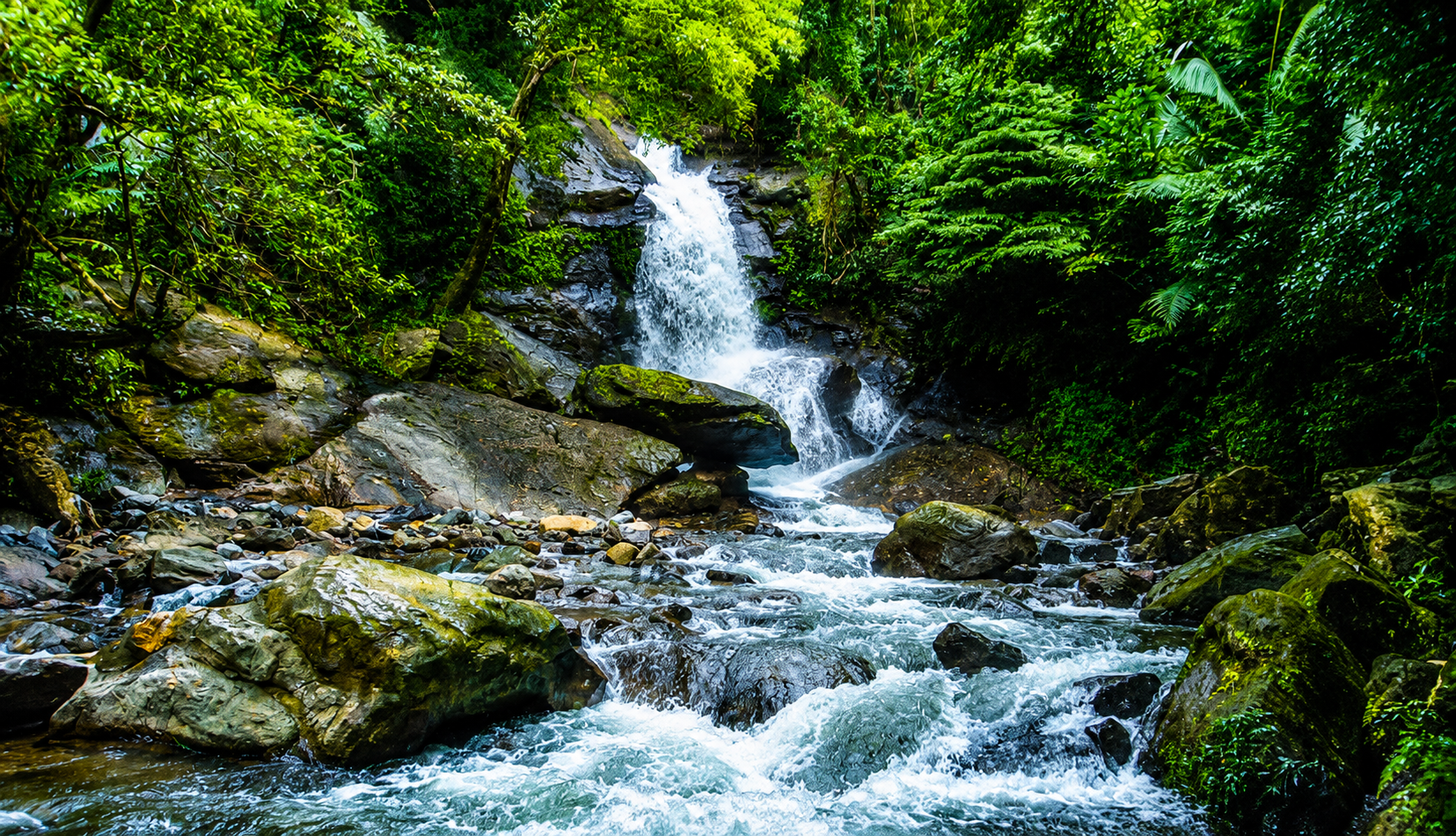 Meenvallam Waterfalls,a tourist spot where the waterfalls hidden inside the deep forests in Palakkad district of Kerala.